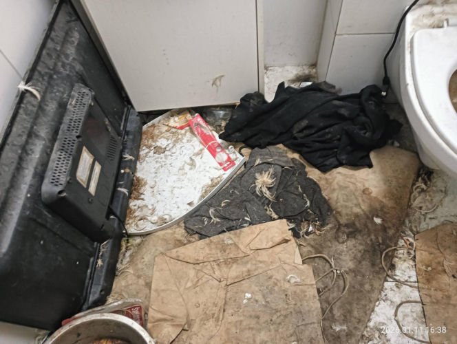 Interwencja inspektorów TOZ z Katowic w Sosnowcu