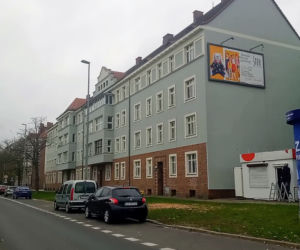 Okazałe drzewa na Turzynie poszły pod topór