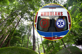 Horror w lesie. Drzewo przygniotło 37-latkę! Dramatyczna akcja ratunkowa