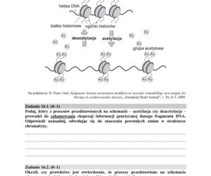 Matura 2018 z biologii [ARKUSZE CKE, ODPOWIEDZI]