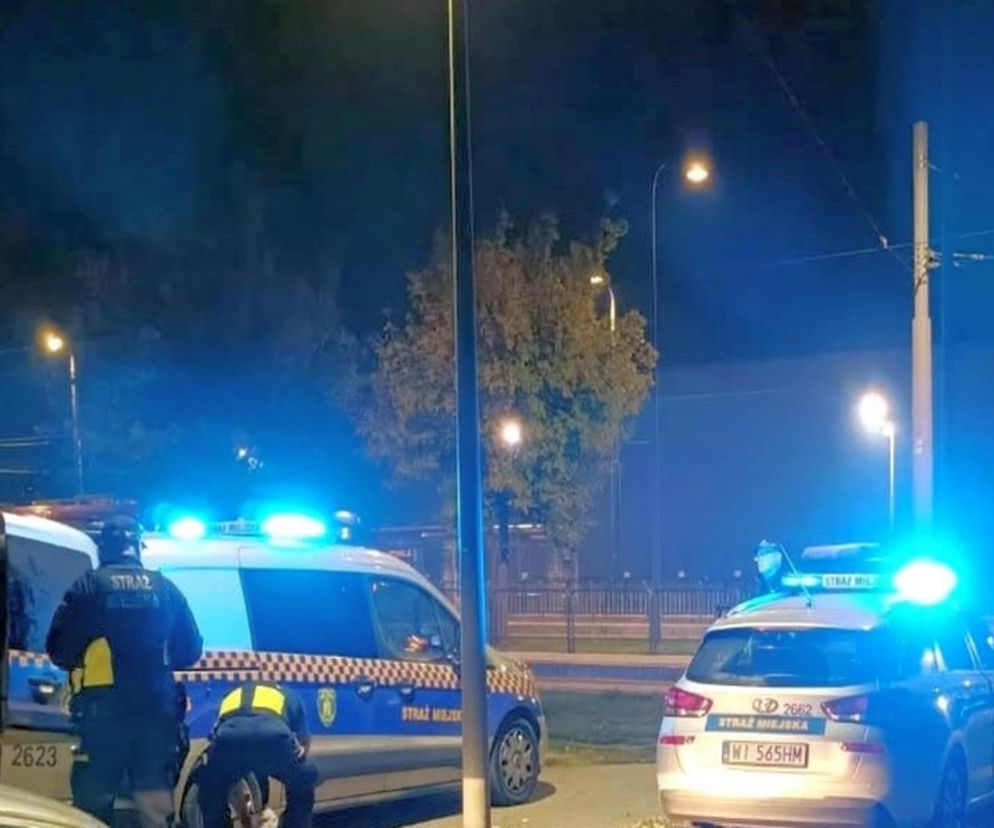 Zauważyli dziwnego pasażera w tramwaju w stolicy. Nagle zaczął uciekać