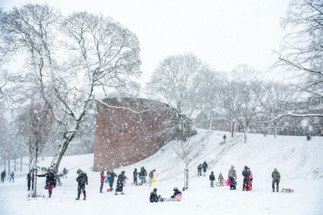 Holandia/ Setki odwołanych lotów, chaos na kolei i rekordowe korki z powodu ataku zimy
