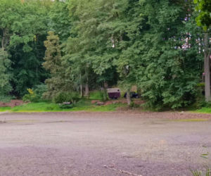 Wyschnięty Staw Wędkarski w Szczecinie