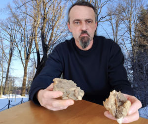 Matka i syn zginęli przygnieceni drzewem. Co zrobiła prokuratura? Ta decyzja oburza!