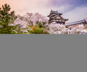 Japonia