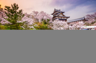 Japonia
