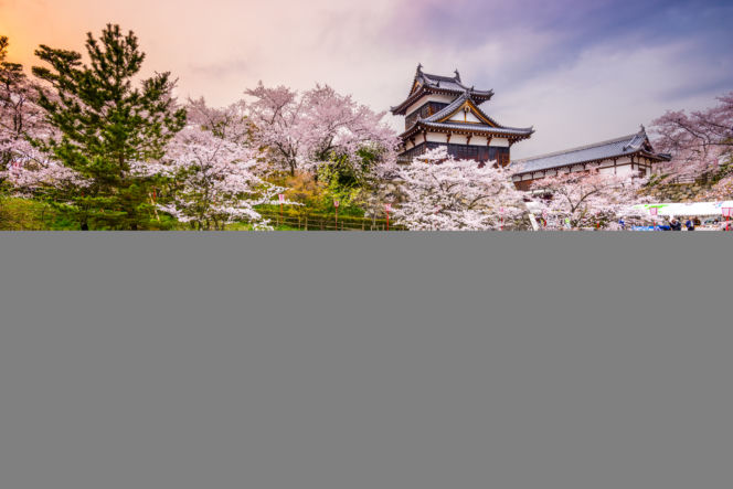 Japonia