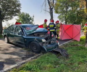 71-latek HUKNĄŁ passatem prosto w drzewo. Śmierć na drodze pod Piłą