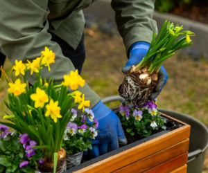 Wiosenne porządki w ogrodzie