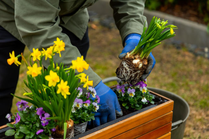 Wiosenne porządki w ogrodzie