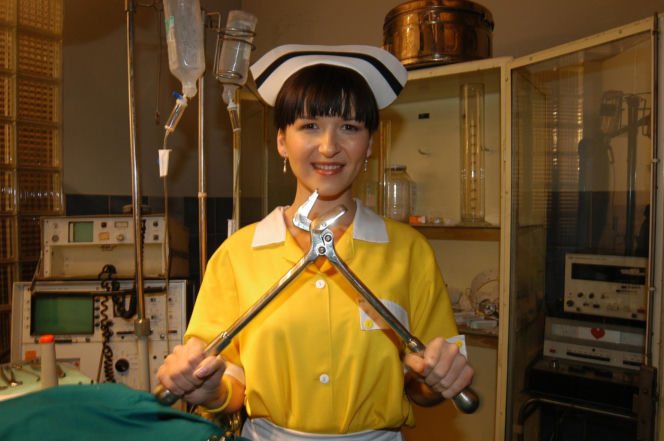 W serialu grali m.in. Anna Przybylska, Katarzyna Cichopek, Joanna Koroniewska, Krzysztof Kowalewski, Hanna Śleszyńska, Paweł Wawrzecki i Piotr Gąsowski.