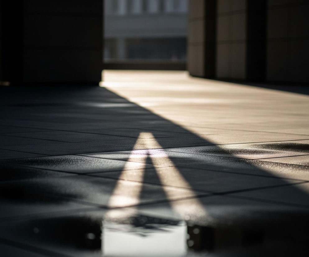 Płytki chodnikowe z ciemnego materiału, ułożone w regularne kwadraty, zajmują większą część kadru. Po lewej stronie ciemna, zacieniona powierzchnia przechodzi w jaskrawą, jasnoszarą połać po prawej, tworząc ukośną linię cienia. Na ciemnej części chodnika widać dwie równoległe, jasne smugi światła, rozszerzające się ku dołowi i odbijające się w kałuży na pierwszym planie, w której widoczne jest również rozmyte odbicie jasnego otoczenia. W tle, między dwoma filarami tworzącymi bramę, rozpościera się jasny plac, a za nim niewyraźny zarys szarego budynku z prostokątnymi oknami.