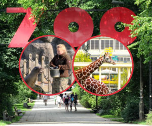 Najlepsze ogrody zoologiczne w Polsce! Tak ocenili je zwiedzający i sztuczna inteligencja
