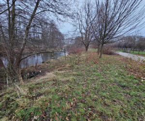 Poćwiartował ciało współlokatora i zakopał w parku! Po wszystkim napisał do matki Mateusza