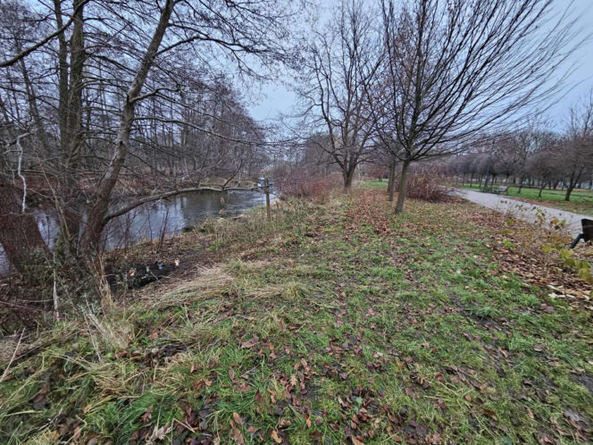 Poćwiartował ciało współlokatora i zakopał w parku! Po wszystkim napisał do matki Mateusza