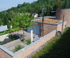 Zielony dach w budynku jednorodzinnym