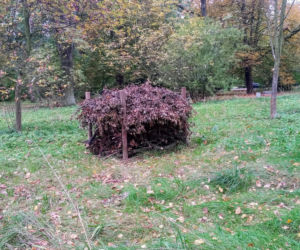 Stosy biocenotyczne w szczecińskich parkach