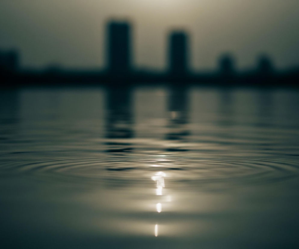 Centralnym punktem obrazu są koncentryczne fale na powierzchni wody, rozchodzące się od jasnego, wydłużonego odblasku światła na pierwszym planie. Woda ma ciemny, szarozielony odcień, a na jej dalszym planie widoczne są rozmyte, ciemne sylwetki wysokich budynków odbijające się w lekko pofalowanej tafli. Nad horyzontem, w tle, widnieje jaśniejsza plama światła, sugerująca słońce lub inne źródło luminacji, która nadaje całości stonowaną, niemal monochromatyczną paletę barw.