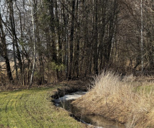 Tomasz wyszedł z domu w Boże Narodzenie. Tragiczny finał poszukiwań