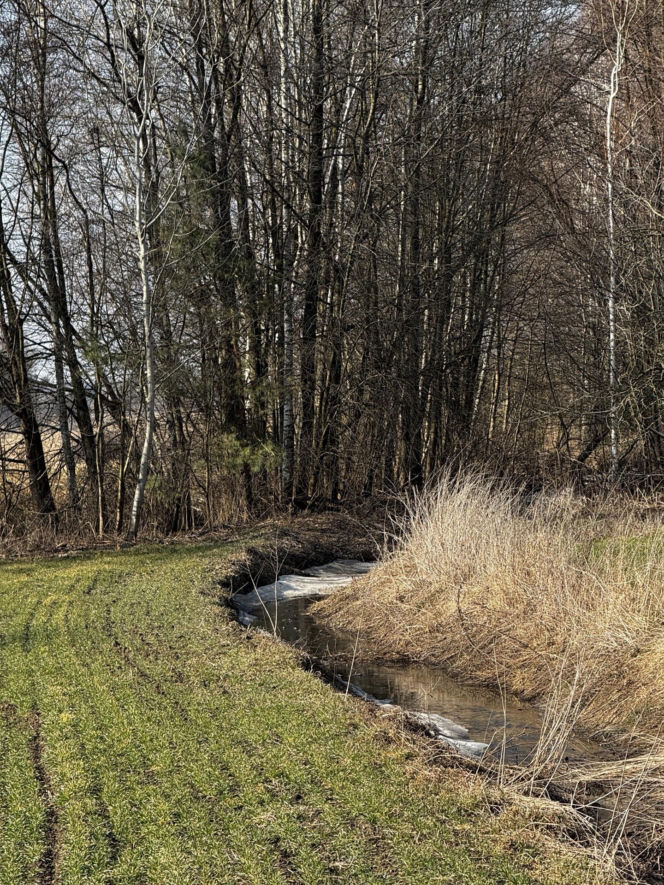 Tomasz wyszedł z domu w Boże Narodzenie. Tragiczny finał poszukiwań