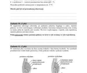 Matura 2018 z biologii. Poziom podstawowy - arkusze CKE