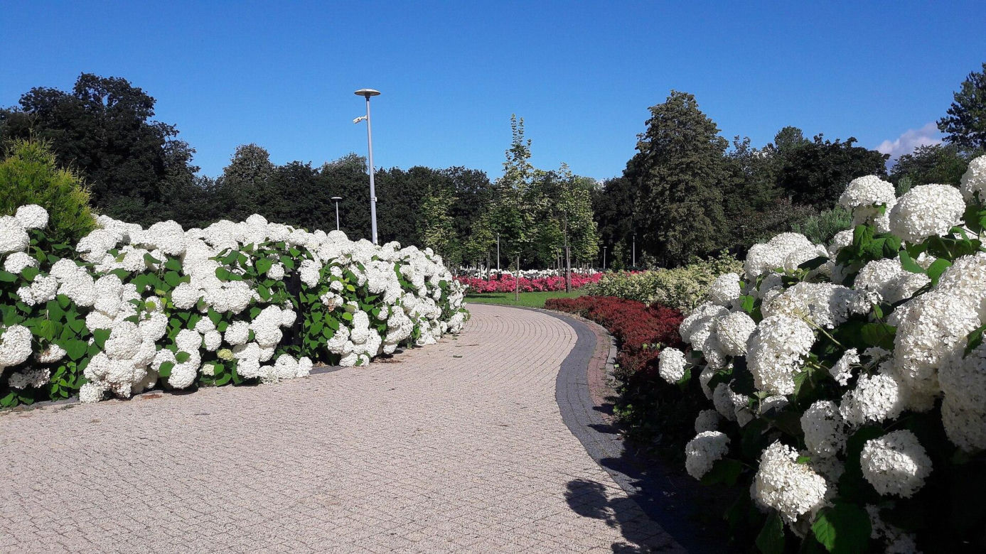 Zambrów na Podlasiu