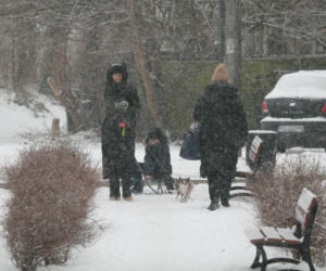 Marta Kaczyńska z synem i psami na sankach w lesie