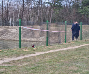 Dąbrówki na Podkarpaciu. Ciało 17-latki znalezione w stawie!