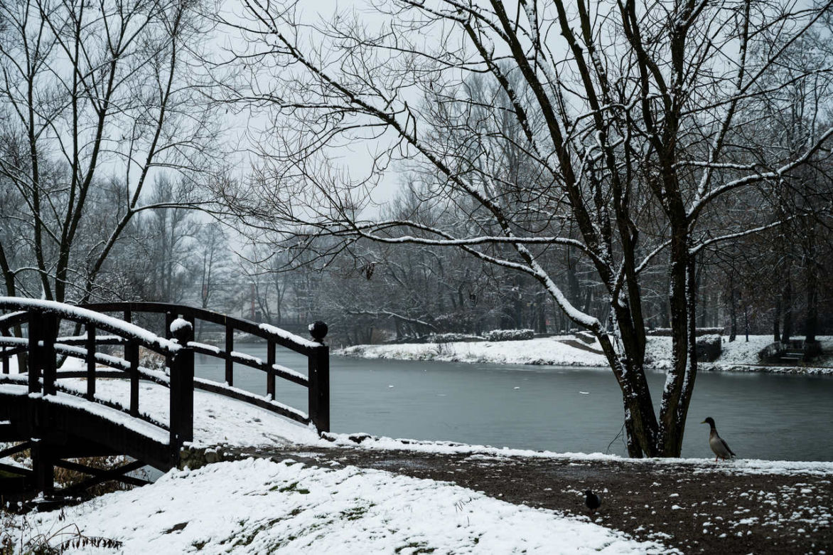 Skawiński park w zimowej otoczce