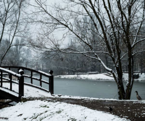 Skawiński park w zimowej otoczce