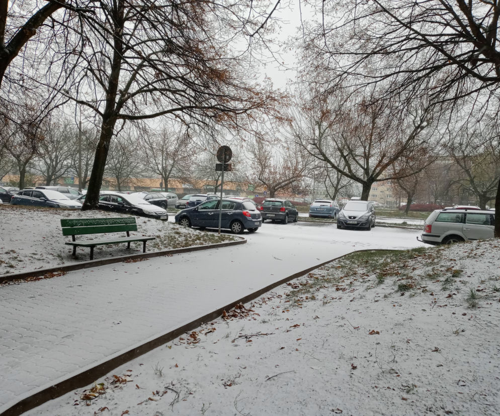 Spadł pierwszy śnieg! Zobacz jak wyglądają ulice Poznania