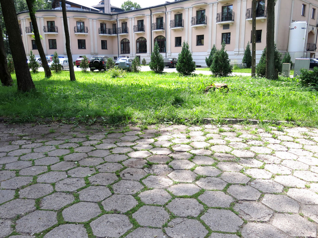 Augustów. Nożownik zasztyletował staruszkę wracającą z rehabilitacji