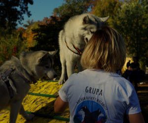 Husky opanowały Psi Park! [GALERIA]