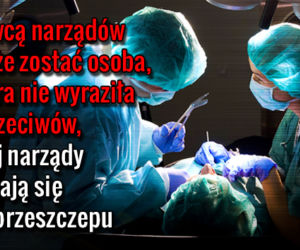 TRANSPLANTACJA_01 Dawcą narządów może zostać osoba