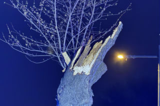 Powalone drzewa i awarie prądu w części województwa