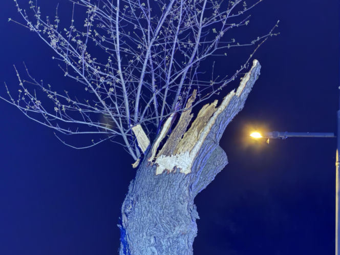 Powalone drzewa i awarie prądu w części województwa