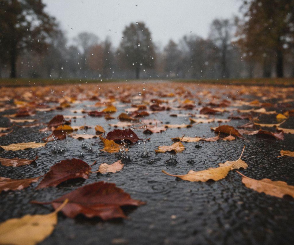 Weekend w Bydgoszczy zacznie się ciepło. Później pogoda pokaże inne oblicze