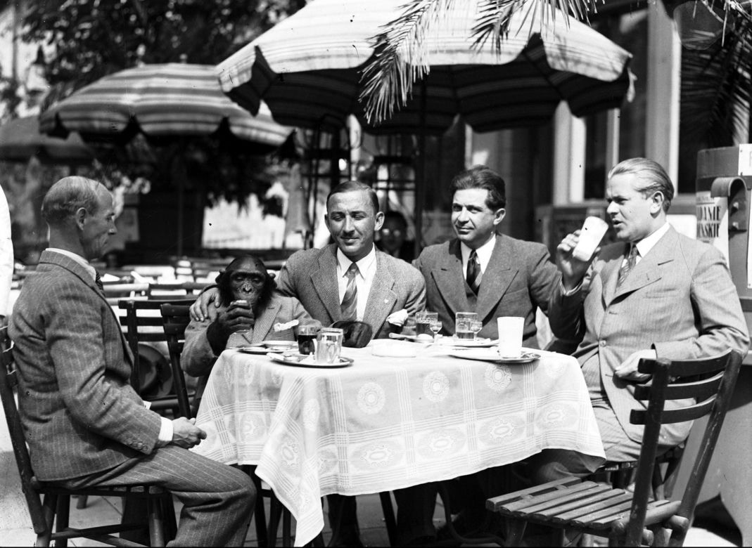Maj 1934 roku. Kawiarnia Bisanza na Dunajewskiego 1