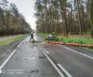 Poniedziałek Wielkanocny. Powalone drzewa i ulewy (ZDJĘCIA) 