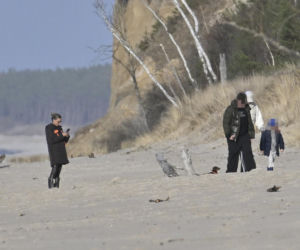 Prawdziwe paparazzi Rozenków nad morzem