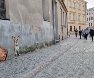 Antywojenna grafika pojawiła się na Starym Mieście w Lublinie