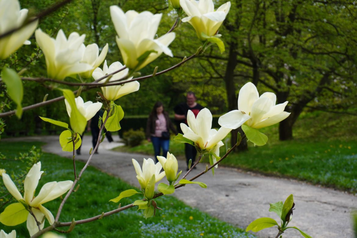 Ogród Botaniczny w Lublinie