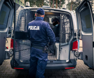 Ogromne plantacje konopi na Mazowszu