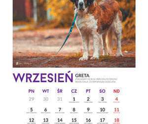 Wrzesień - kalendarz ze zwierzętami