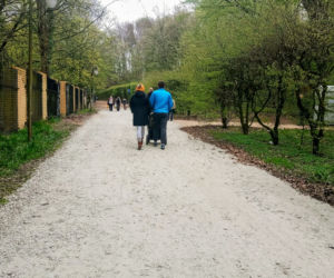 Aleja Fałata otwarta dla spacerowiczów