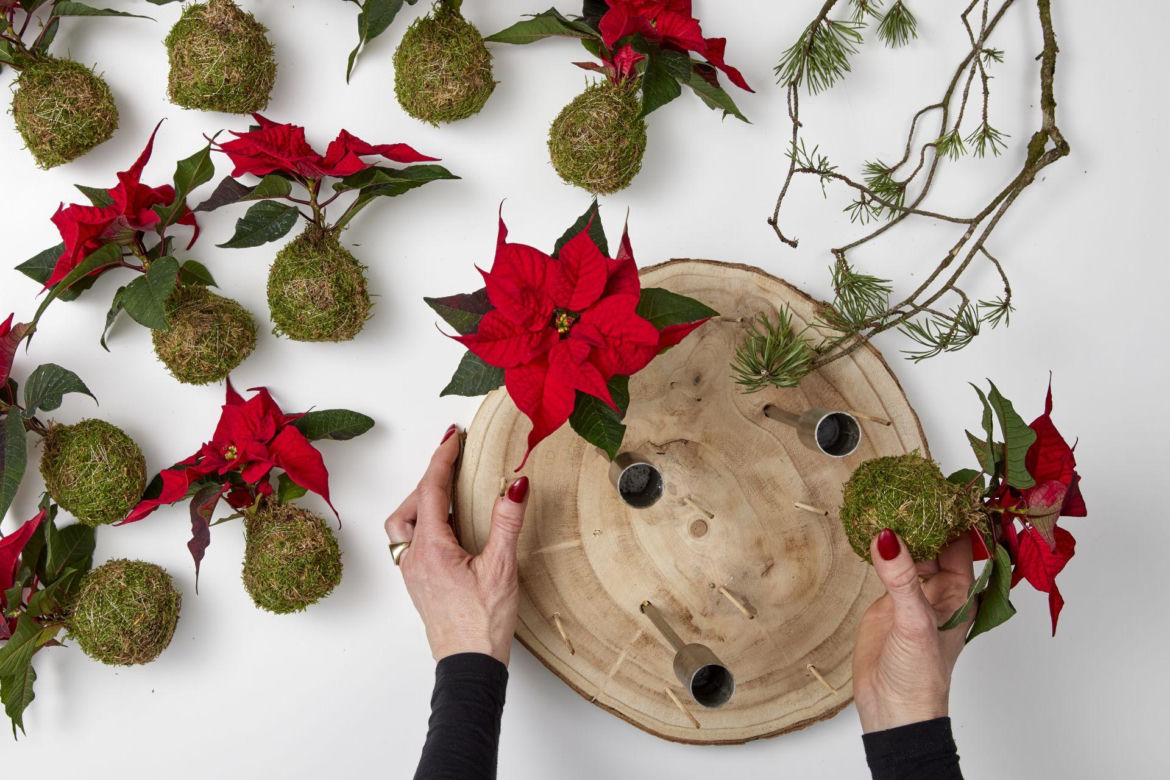 Adwentowa kokedama