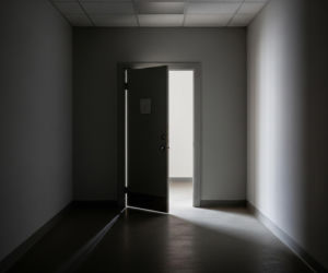 NIK kontroluje Paluch. Czy warszawskie schronisko czeka los Sobolewa?