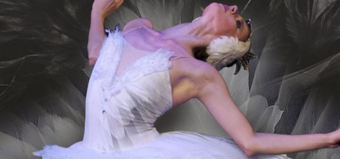 The Royal Moscow Ballet - piękna pamiątka ze spektaklu Jezioro Łabędzie 