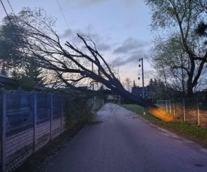 Powiat siedlecki: liczne interwencje strażaków w związku z wichurą