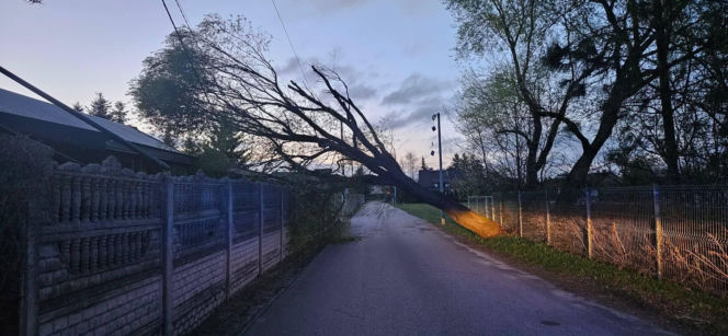 Powiat siedlecki: liczne interwencje strażaków w związku z wichurą